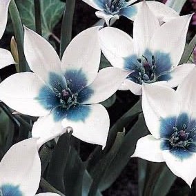 Kat5703's profile picture. She/He/They/It