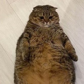 cryptobro135's profile picture. BTC investor from 2016. Sold all BTC and farm airdrop/hedge funding fee nowadays