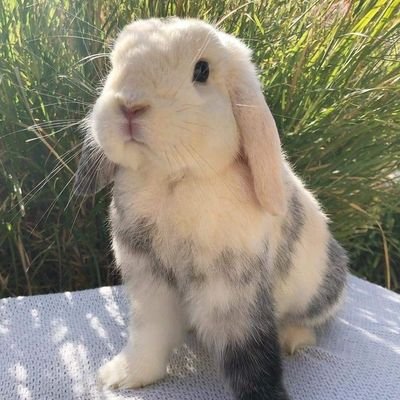 poeticlys's profile picture. Propriétaire de tout mon être et de mon essence, je remercierai le ciel de la couleur de tes cheveux soyeux toute la journée de t'avoir avec moi.