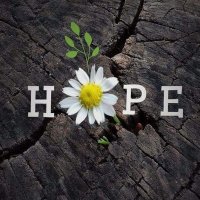 Pumla (@mma_kamohelo) 's Twitter Profile