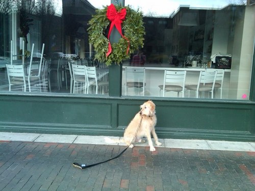 mkboston13's profile picture. 