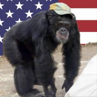 ° (@geronimofrost) 's Twitter Profile Photo