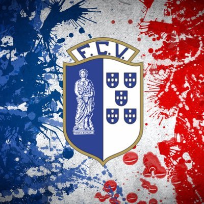 Premier compte francophone supporter du @FCVizelaOficial évoluant en @ligaportugal . #NosSomosVizela #NousSommesVizela
