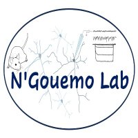 N'Gouemo Lab(@ngouemo_lab) 's Twitter Profile Photo