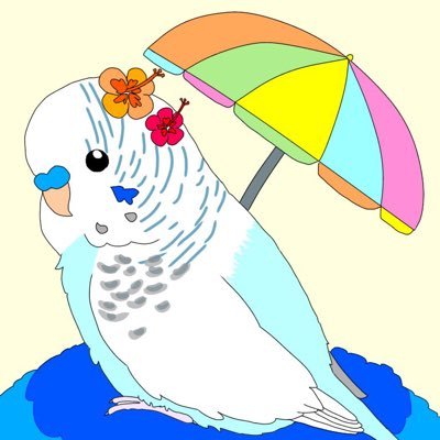 ブルースカイのアカウント作りました！セキセイインコ4歳♂がいます。アイコンはチルチルさん@chill_chill777🥰