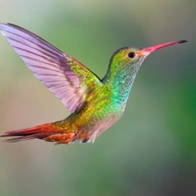 MicSilly's profile picture. Stars align