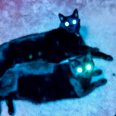 Cloud feet are inconvenient☁️🐾.
Should🐝beading!
I make mandalas🎨
I share lots of🐸🪷🏵️🦋🥦🌶stuff from garden.
👶💃🧙♀️💀🎡infinitheistic👶💃🧙♀️💀🎡