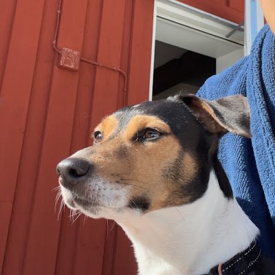 Brag3_'s profile picture. Admin/Tournament-Admin On https://t.co/xgAo6g1m17
My space on @esplaycom 
https://t.co/2gZlOrL3U8
Join https://t.co/yOcbo6NkE1