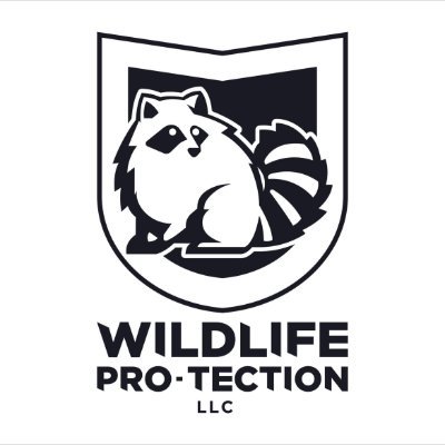 Nuisance Wildlife Removal & Prevention
Protect your Home & Property Today!
Catch & Release!
Call the PROS! #sealthemout
(904) 999-9241