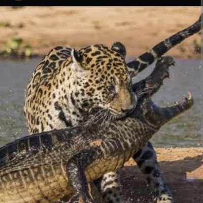 thomstuartt's profile picture. Business Analyst , Academic, Banker and Business Consultant

I wish to make my contribution towards the change I want to see.