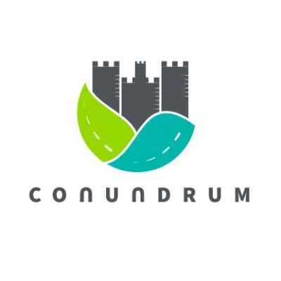 Conundrum_SFI Profile Picture