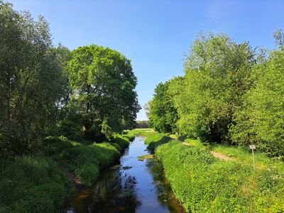 croalyst's profile picture. Hmm...