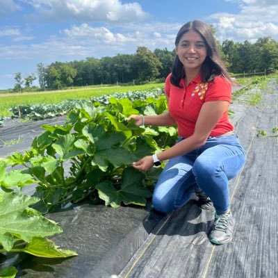 PhD student Plant Pathology @Cornell | MS Plant Pathology and Crop Physiology @LSU 🐯💛💜| BS Agronomy @unaghonduras | bacterial diseases of vegetables