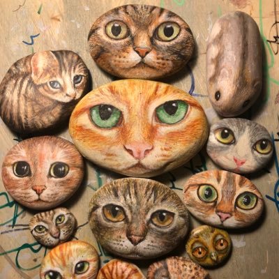 stonegoodies's profile picture. 