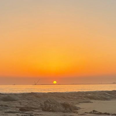 jdthx19's profile picture. 1904 ❤️🤍