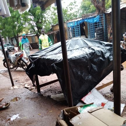 BrehimaGui28413's profile picture. 