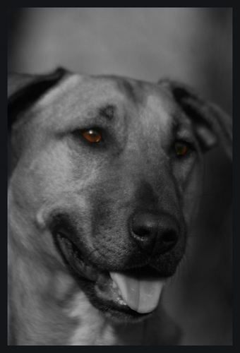 frozenpeet's profile picture. 