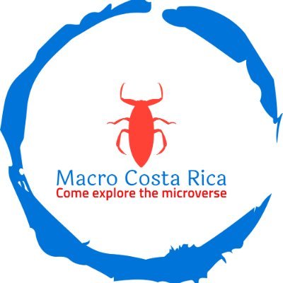 Capturing the tiny wonders of Costa Rica's diverse ecosystems through macro photography. Nature enthusiast on a mission to showcase the beauty of the small.