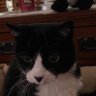 NancyJ755's profile picture. 