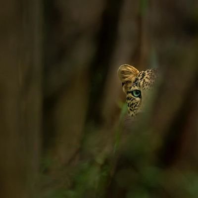 MerryGi2's profile picture. Angel energy 🦋