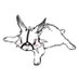 ✧゚*。bunny。*゚✧ he/they (@bunnidroolz) Twitter profile photo ✧゚*。bunny。*゚✧ he/they (@bunnidroolz) Twitter profile photo