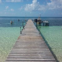 serkan (@serkan450803) Twitter profile photo