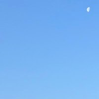 まるまる。☃⃝ (@buizn852) 's Twitter Profile