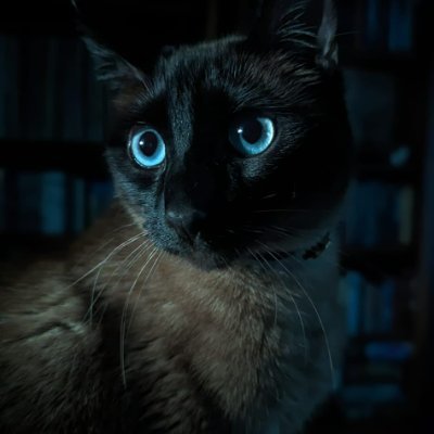 Megan Beeさんのプロフィール画像