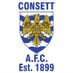 Consett Ladies AFC (@ConsettLAFC) Twitter profile photo