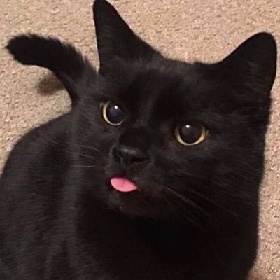 dobby_bebe's profile picture. 