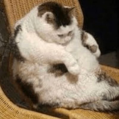 LilGhostDarling's profile picture. 