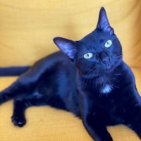 now and jen ✨ (@gr33ngold) 's Twitter Profile Photo