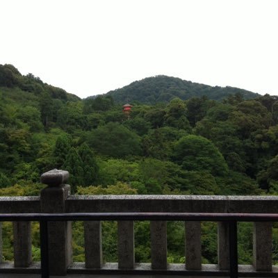 choi_leverage's profile picture. 