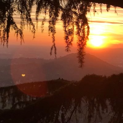 kientzy's profile picture. 