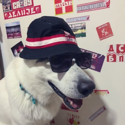 Ludisever89's profile picture. Све почело је јако давно