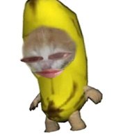 ayamgoreng (@uwuseeker) 's Twitter Profile