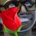upper darby crash bandicoot (@dsa_comrade) Twitter profile photo upper darby crash bandicoot (@dsa_comrade) Twitter profile photo
