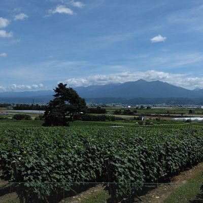 見る専アカウントでっす！
プロ野球や鉄道(主に廃線)競走馬が好きです！
良ければフォローしてください！