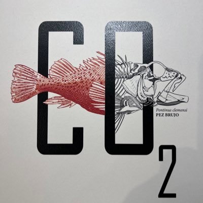 Andresps333's profile picture. Pa delante con la bendición de Dios