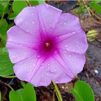 Umesh (@umesh87608428) 's Twitter Profile Photo