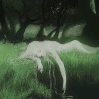 timelytulip (@timelytulip) 's Twitter Profile
