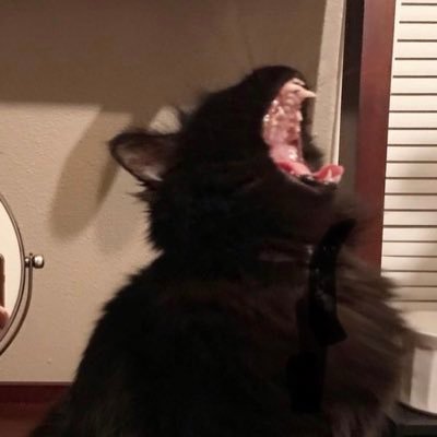 siienthills2's profile picture. ☁️ - Punished Snake - rip @siienthills -