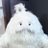 moffun_to_issho