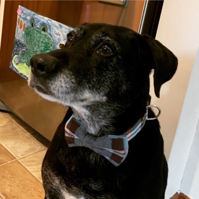 anne_aubri's profile picture. 