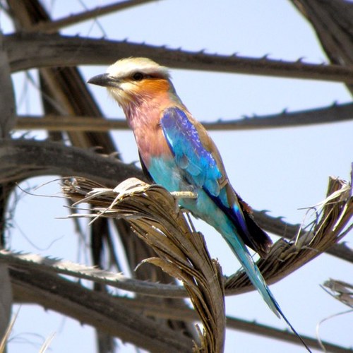 elisabetta14's profile picture. 