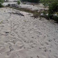 nguyenlocoaw (@nguyenloc149636) 's Twitter Profile