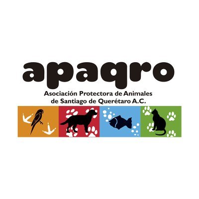 ApaqroOficial_ Profile Picture