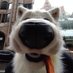 Waffleʷᵃᶠᶠˡᵉ 🧇🔜 NFC #4139, CFz (@audiowolfeh) Twitter profile photo Waffleʷᵃᶠᶠˡᵉ 🧇🔜 NFC #4139, CFz (@audiowolfeh) Twitter profile photo