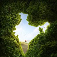 Shah Shakir (@shah_shakir_011) 's Twitter Profile