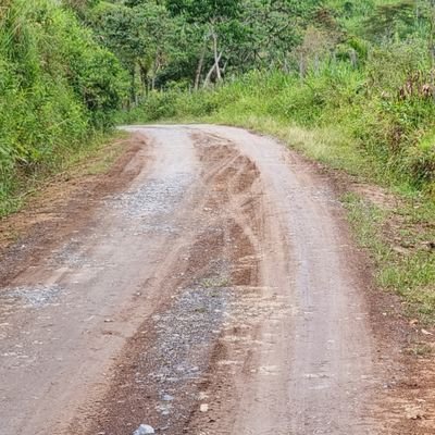 felsego's profile picture. ❤️ Amo mi Colombia
👍 demócrata tiempo completo

🚫 progres 
❌ izquierdistas